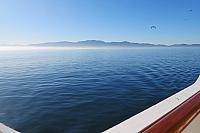 IMG 0489