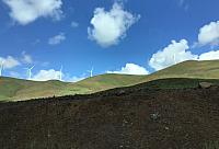 IMG 3553
