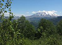 IMG 0857