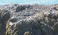 IMG 0913