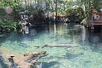 IMG 1191