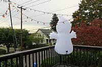 IMG 1453