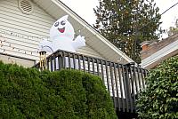 IMG 1454