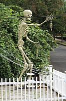 IMG 1457