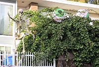 IMG 1472