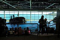 IMG 1550