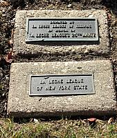 IMG 1570