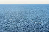 IMG 1658