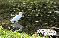IMG 1878