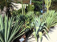 IMG 1903