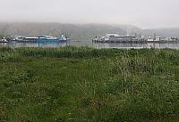 IMG 2417