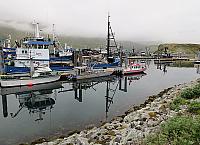 IMG 2449