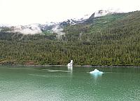 IMG 2810