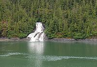 IMG 2811