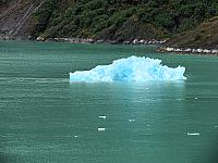 IMG 2828