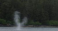 IMG 2267