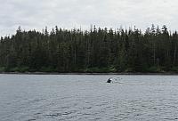 IMG 2277