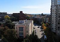 IMG 3009