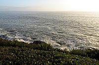 IMG 3052