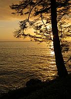 IMG 3059