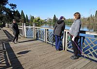 IMG 3185