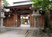 IMG 3546