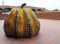 IMG 3567