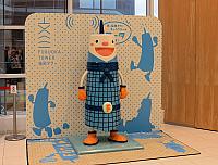 IMG 3578