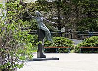 IMG 4037