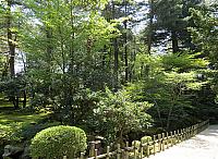 IMG 3725