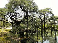 IMG 3736