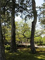 IMG 3749