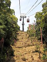 IMG 3382