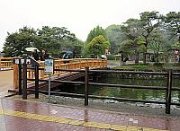 IMG 3458