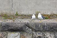 IMG 3939
