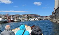 IMG 3941