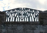 IMG 3961