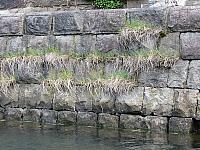 IMG 3979