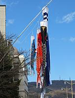 IMG 3990