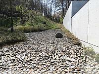 IMG 3809