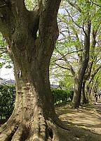 IMG 3872