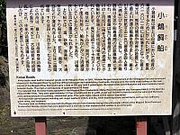 IMG 3908