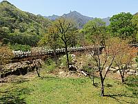 IMG 3624