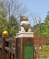 IMG 3627