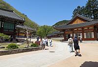 IMG 3640