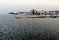 IMG 3710