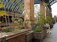 IMG 3290