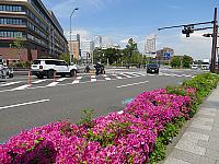 IMG 4063