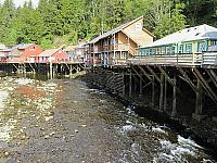 IMG 4261