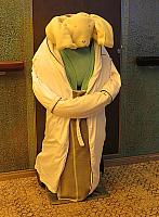 IMG 4310
